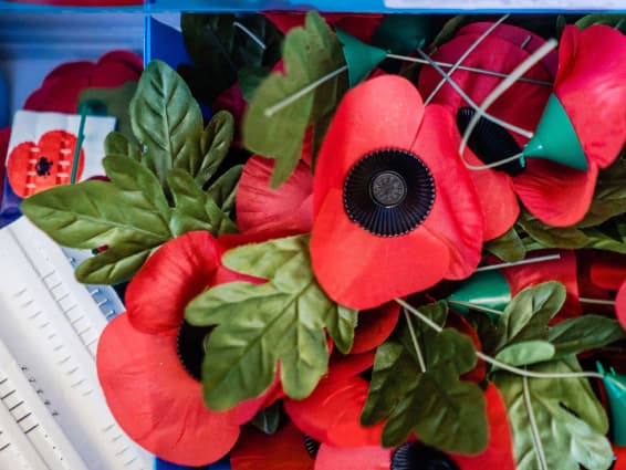 Remembrance Day Ceremony at the garden