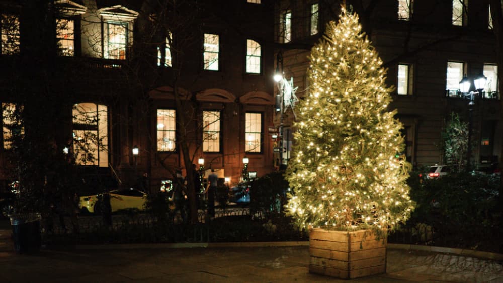 The garden's lit Christmas tree at Hanover Square in the evening