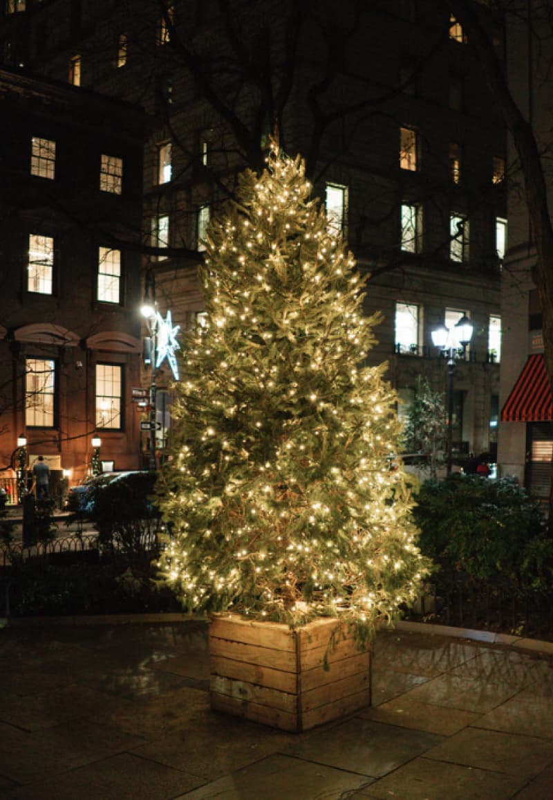 A full view of the garden's lit Christmas tree in its wooden planter