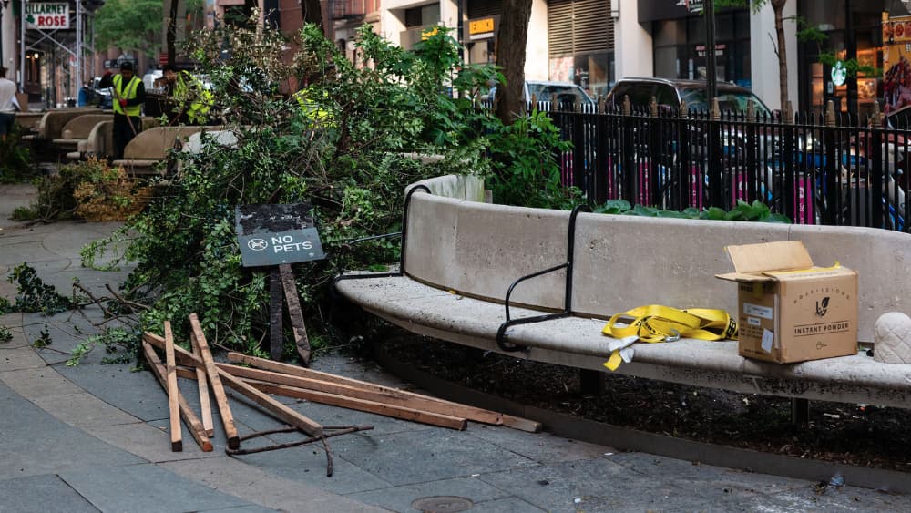 Cleared branches and tools staged on a garden bench