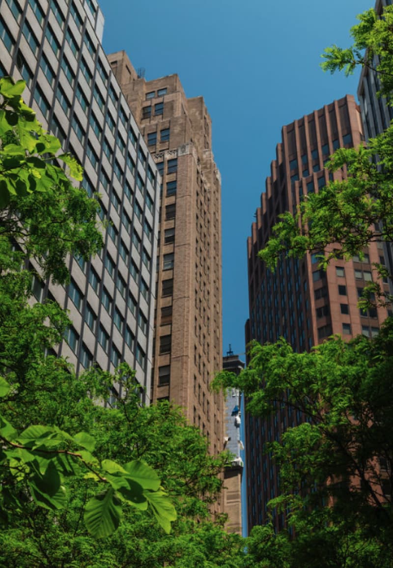 The garden's trees framed against the Financial District skyline