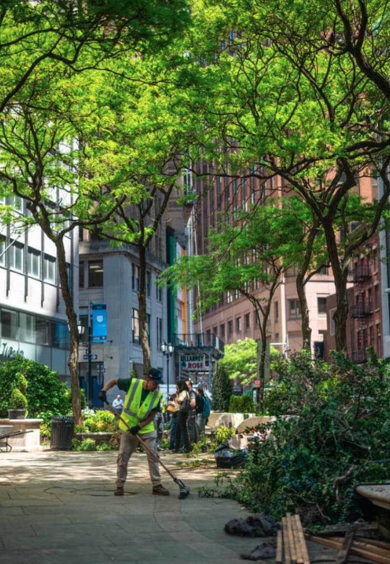 The landscaping crew at work beneath the garden's canopy