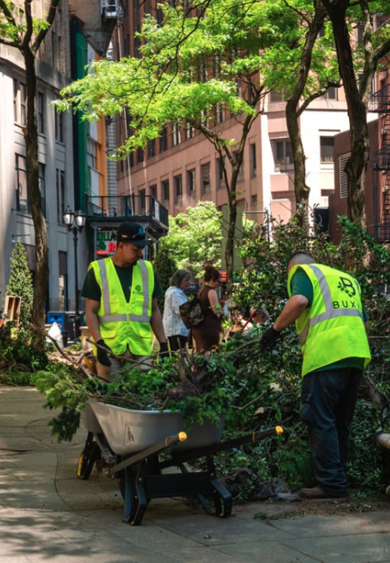 Volunteers loading cuttings into a wheelbarrow