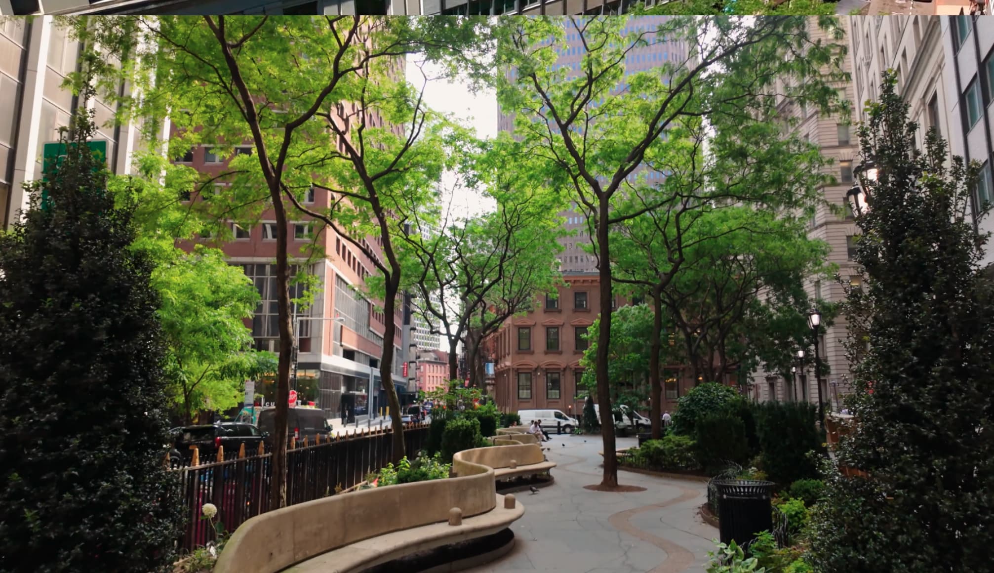 A leafy public garden surrounded by New York City buildings