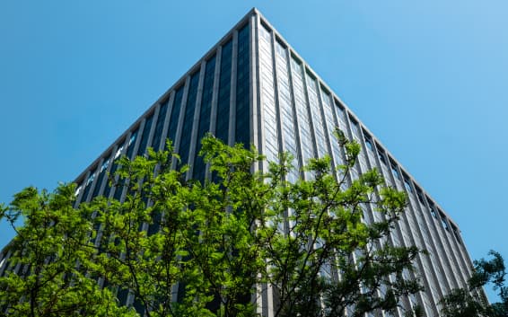 The garden among the buildings of Lower Manhattan